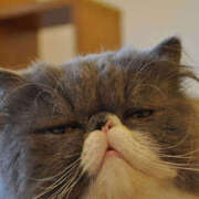 ヒメ日記 2026/01/13 19:45 投稿 向井 熟女待機所 厚木店