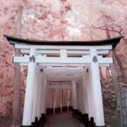 ヒメ日記 2026/02/03 09:18 投稿 向井 熟女待機所 厚木店