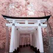 ヒメ日記 2026/02/03 09:25 投稿 向井 熟女待機所 厚木店