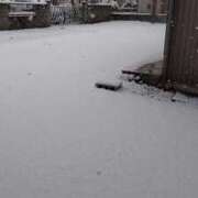 ヒメ日記 2026/02/08 10:15 投稿 向井 熟女待機所 厚木店