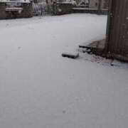 ヒメ日記 2026/02/08 10:25 投稿 向井 熟女待機所 厚木店