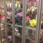 ヒメ日記 2026/02/12 09:45 投稿 向井 熟女待機所 厚木店