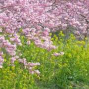 ヒメ日記 2026/02/13 08:05 投稿 向井 熟女待機所 厚木店