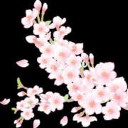 ヒメ日記 2026/03/19 21:06 投稿 向井 熟女待機所 厚木店