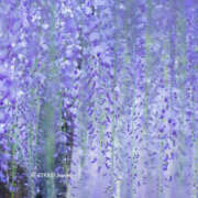 ヒメ日記 2026/04/16 09:45 投稿 向井 熟女待機所 厚木店