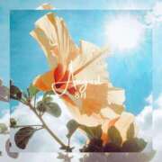 ヒメ日記 2025/08/01 06:34 投稿 いつき 完熟ばなな梅田