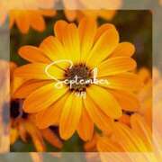 ヒメ日記 2025/09/01 08:24 投稿 いつき 完熟ばなな梅田