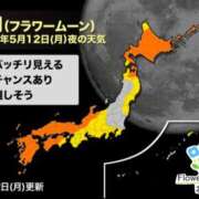 ヒメ日記 2025/05/12 19:17 投稿 工藤さなえ メイドin西川口（埼玉ハレ系）