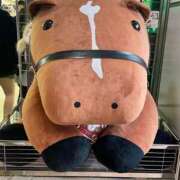 ヒメ日記 2025/02/11 15:38 投稿 萩野しずく メイドin西川口（埼玉ハレ系）