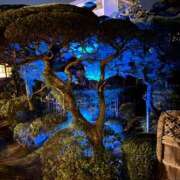 ヒメ日記 2025/01/05 02:36 投稿 サラ 沖縄素人図鑑