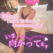 ヒメ日記 2025/03/26 12:19 投稿 サラ 沖縄素人図鑑