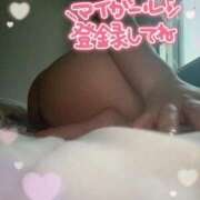 ヒメ日記 2025/04/27 07:48 投稿 サラ 沖縄素人図鑑