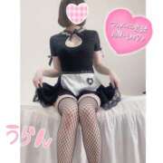 ヒメ日記 2025/01/03 08:00 投稿 うらん ロイヤル土佐