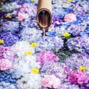 ヒメ日記 2025/06/11 08:40 投稿 佐藤ゆり 五十路マダム 新潟店(カサブランカグループ)