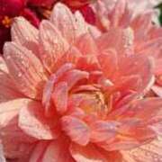 ヒメ日記 2025/07/07 10:40 投稿 佐藤ゆり 五十路マダム 新潟店(カサブランカグループ)