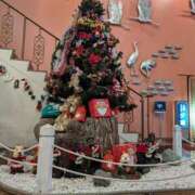 ヒメ日記 2024/12/14 17:31 投稿 みのり 熟女の風俗最終章 宇都宮店