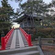 ヒメ日記 2024/12/16 00:31 投稿 みのり 熟女の風俗最終章 宇都宮店