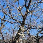 ヒメ日記 2025/02/28 23:51 投稿 みのり 熟女の風俗最終章 宇都宮店