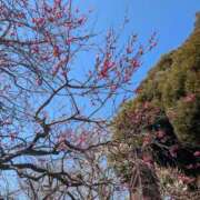 ヒメ日記 2025/03/02 14:03 投稿 みのり 熟女の風俗最終章 宇都宮店