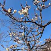 ヒメ日記 2025/03/18 20:22 投稿 みのり 熟女の風俗最終章 宇都宮店