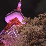 ヒメ日記 2025/03/26 17:12 投稿 みのり 熟女の風俗最終章 宇都宮店