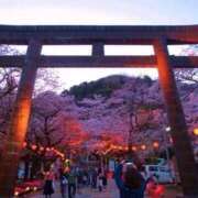 ヒメ日記 2025/03/27 12:41 投稿 みのり 熟女の風俗最終章 宇都宮店