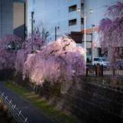 ヒメ日記 2025/03/28 22:10 投稿 みのり 熟女の風俗最終章 宇都宮店