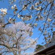 ヒメ日記 2025/04/05 08:51 投稿 みのり 熟女の風俗最終章 宇都宮店