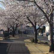 ヒメ日記 2025/04/09 20:51 投稿 みのり 熟女の風俗最終章 宇都宮店