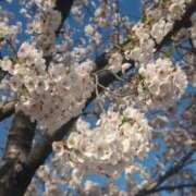 ヒメ日記 2025/04/10 10:21 投稿 みのり 熟女の風俗最終章 宇都宮店