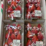 ヒメ日記 2025/04/11 09:14 投稿 みのり 熟女の風俗最終章 宇都宮店