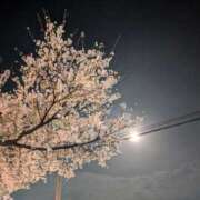 ヒメ日記 2025/04/11 19:32 投稿 みのり 熟女の風俗最終章 宇都宮店