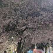 ヒメ日記 2025/04/13 20:21 投稿 みのり 熟女の風俗最終章 宇都宮店