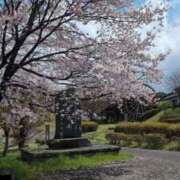 ヒメ日記 2025/04/15 20:09 投稿 みのり 熟女の風俗最終章 宇都宮店