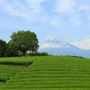 ヒメ日記 2025/05/01 21:58 投稿 みのり 熟女の風俗最終章 宇都宮店