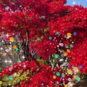 ヒメ日記 2025/05/05 09:31 投稿 みのり 熟女の風俗最終章 宇都宮店