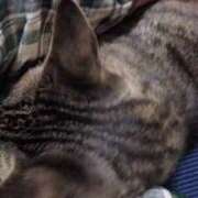 ヒメ日記 2025/05/06 21:41 投稿 みのり 熟女の風俗最終章 宇都宮店