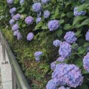 ヒメ日記 2025/06/25 05:41 投稿 みのり 熟女の風俗最終章 宇都宮店