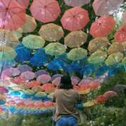 ヒメ日記 2025/07/01 09:43 投稿 みのり 熟女の風俗最終章 宇都宮店