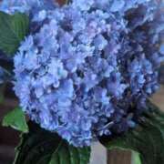 ヒメ日記 2025/07/14 06:41 投稿 みのり 熟女の風俗最終章 宇都宮店