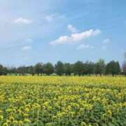 ヒメ日記 2025/07/23 23:11 投稿 みのり 熟女の風俗最終章 宇都宮店