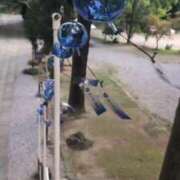 ヒメ日記 2025/07/24 11:02 投稿 みのり 熟女の風俗最終章 宇都宮店