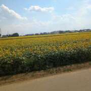 ヒメ日記 2025/07/26 21:51 投稿 みのり 熟女の風俗最終章 宇都宮店