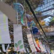 ヒメ日記 2025/07/29 05:51 投稿 みのり 熟女の風俗最終章 宇都宮店