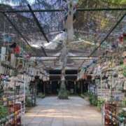 ヒメ日記 2025/07/30 18:21 投稿 みのり 熟女の風俗最終章 宇都宮店