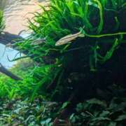 ヒメ日記 2025/08/04 08:31 投稿 みのり 熟女の風俗最終章 宇都宮店