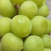 ヒメ日記 2025/09/11 22:11 投稿 みのり 熟女の風俗最終章 宇都宮店