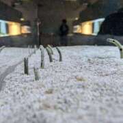 ヒメ日記 2025/09/19 18:21 投稿 みのり 熟女の風俗最終章 宇都宮店