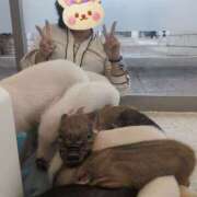 ヒメ日記 2025/10/25 11:05 投稿 みのり 熟女の風俗最終章 宇都宮店