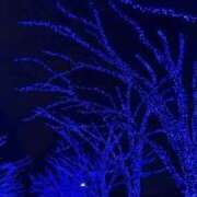 ヒメ日記 2025/12/22 08:21 投稿 みのり 熟女の風俗最終章 宇都宮店